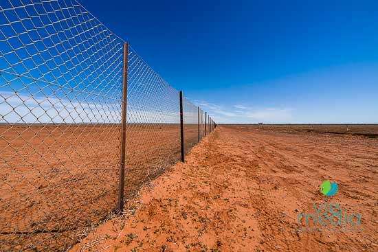 Along the Dingo Fence
