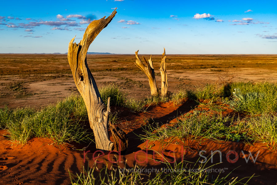 The view north from on top of Packsaddle Hill, Packsaddle, Outback NSW, Australia
