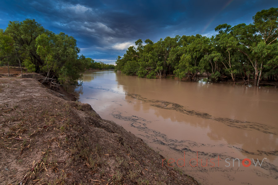 The Darling River at Louth during a high flow after a drought, Darling River, Outback NSW, Australia
