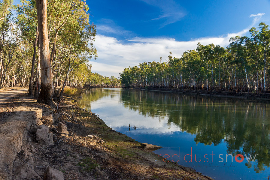 Murray River along the Barmah Picnic Point Road, NSW Australia